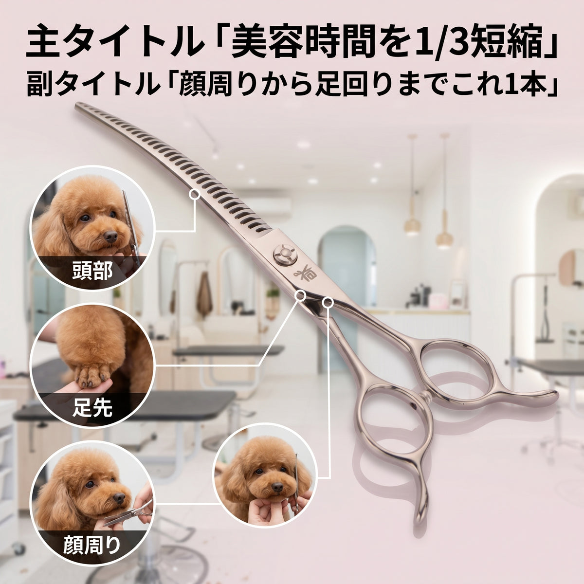6 Inch Japanese 440c dog grooming shears curved thinner scissors for student pet groomers, dog grooming salon daily use